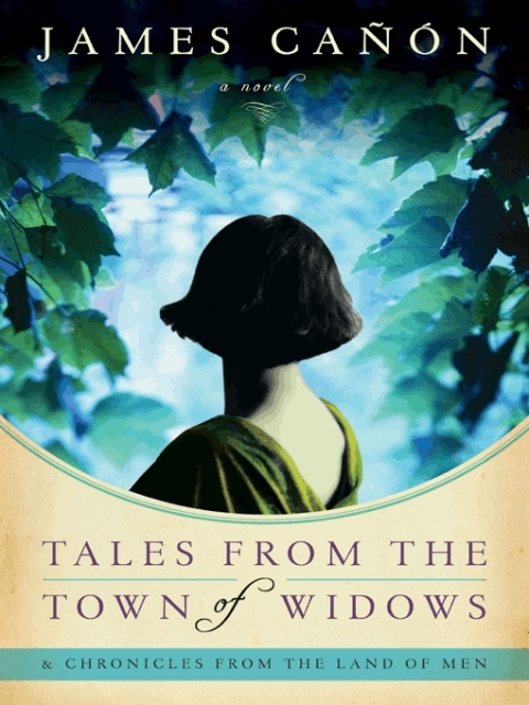 Cover image for book Tales from the Town of Widows