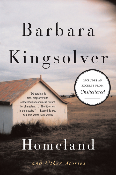 Cover image for book Homeland