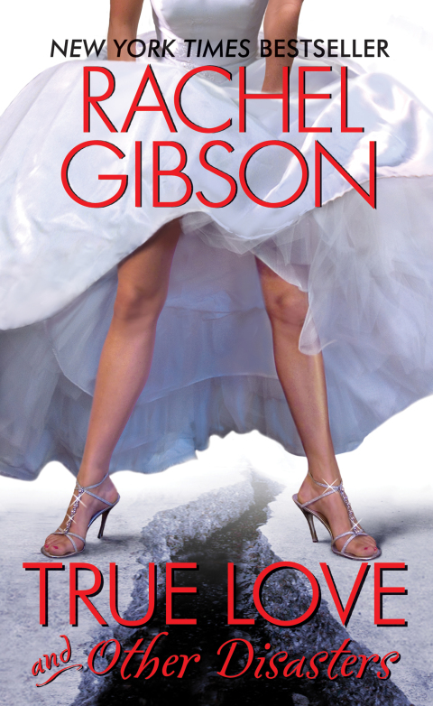 Cover image for book True Love and Other Disasters