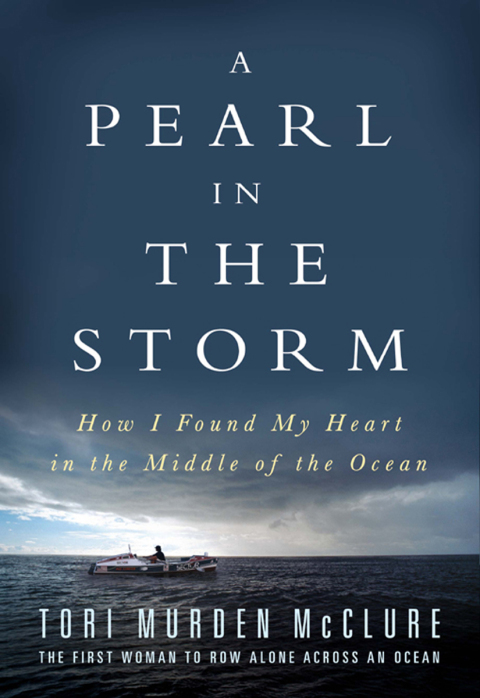 Cover image for book A Pearl in the Storm