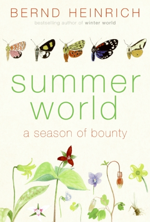Cover image for book Summer World
