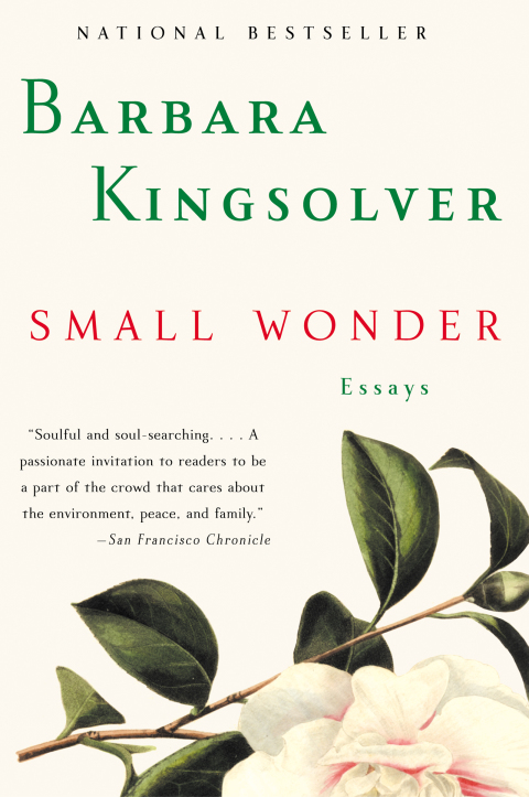 Cover image for book Small Wonder