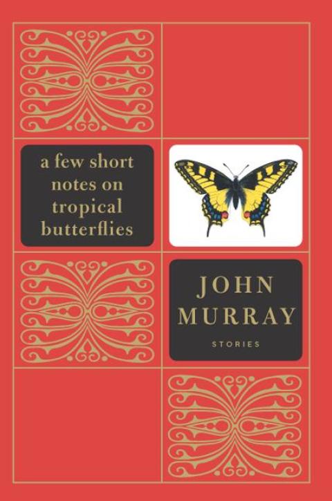 Cover image for book A Few Short Notes on Tropical Butterflies