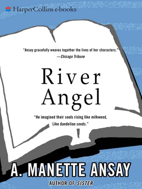 Cover image for book River Angel