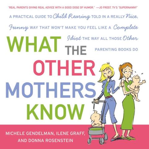 Cover image for book What the Other Mothers Know