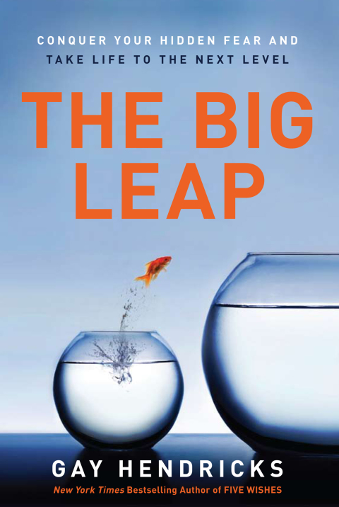 Cover image for book The Big Leap