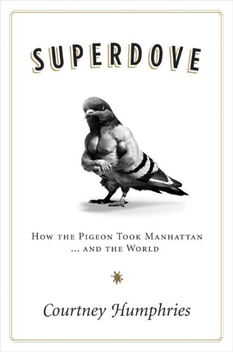Cover image for book Superdove