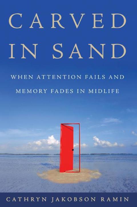 Cover image for book Carved in Sand