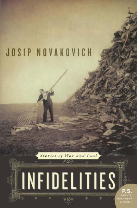 Cover image for book Infidelities