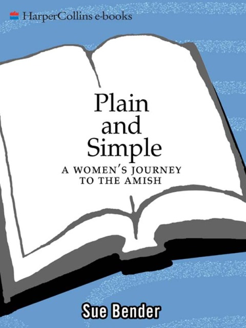 Cover image for book Plain and Simple