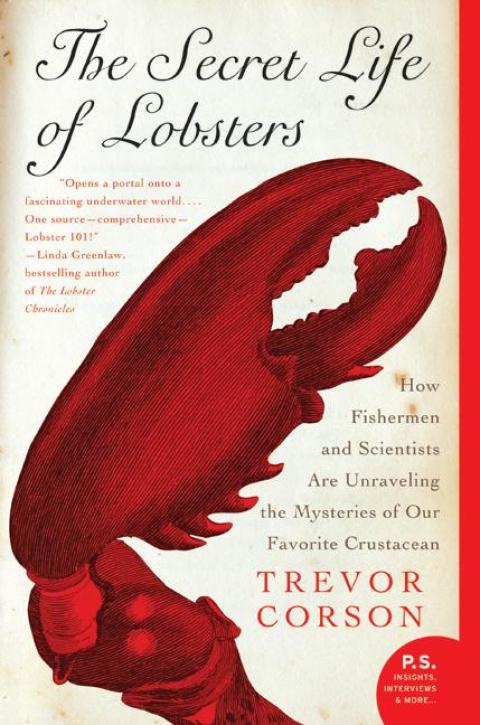 Cover image for book The Secret Life of Lobsters