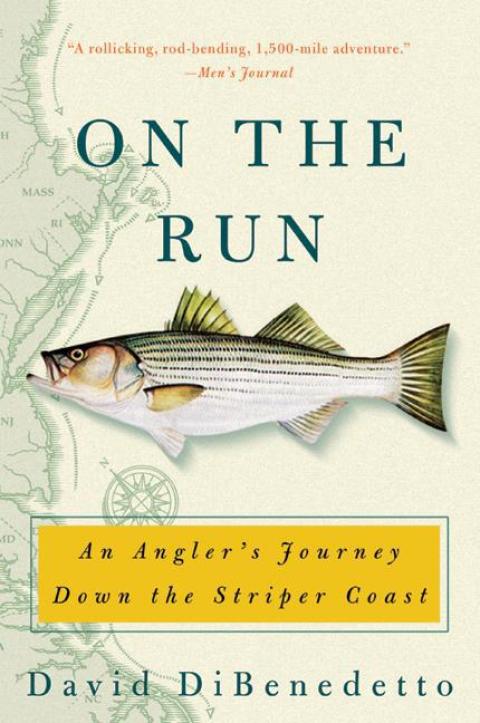 Cover image for book On the Run