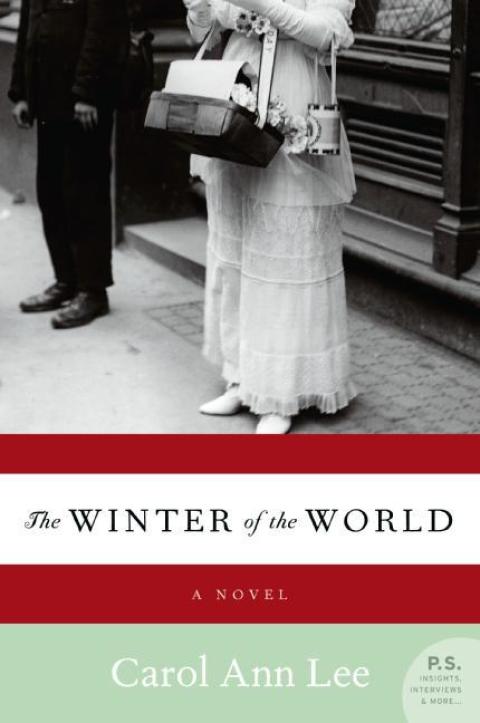 Cover image for book The Winter of the World