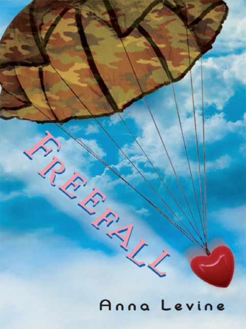 Cover image for book Freefall