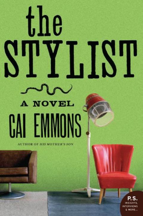 Cover image for book The Stylist