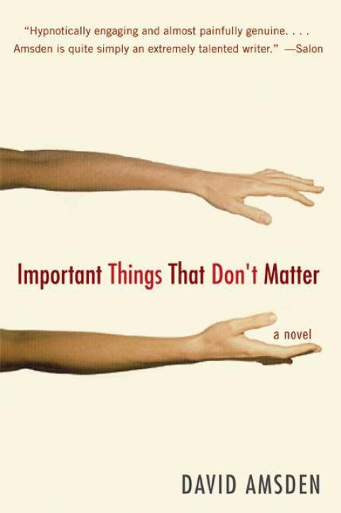 Cover image for book Important Things That Don't Matter