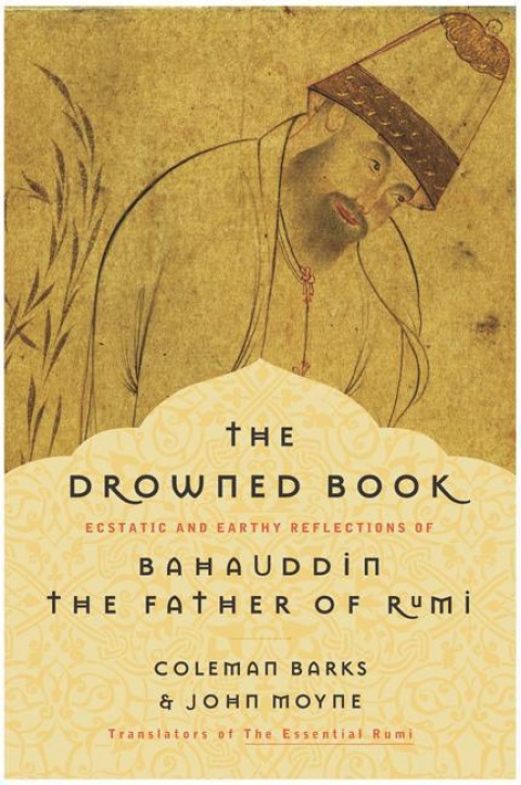 Cover image for book The Drowned Book