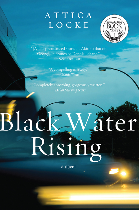 Cover image for book Black Water Rising