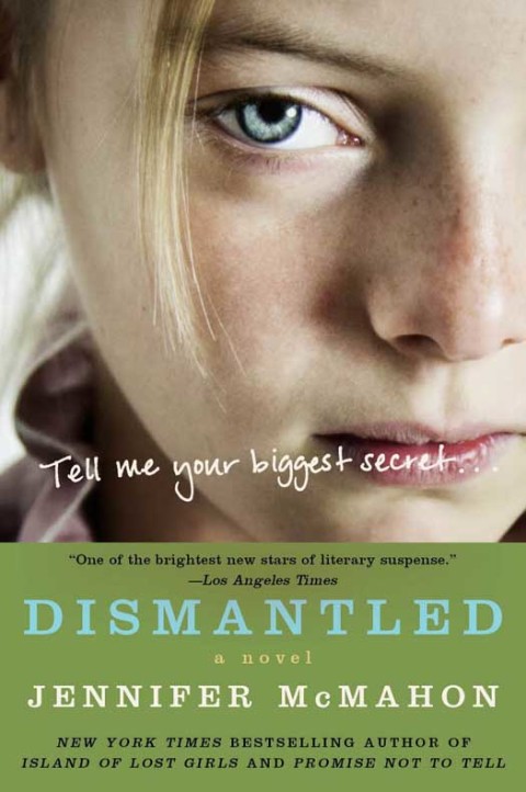 Cover image for book Dismantled