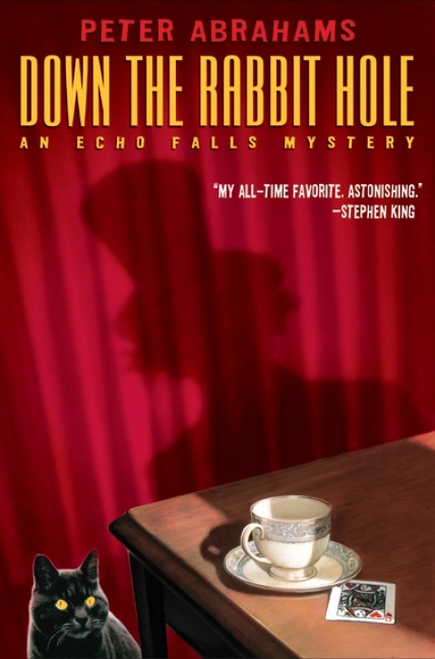 Cover image for book Down the Rabbit Hole