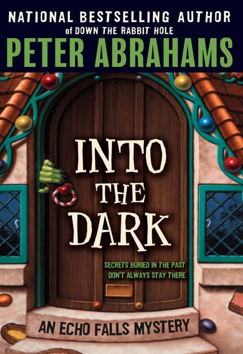 Cover image for book Into the Dark