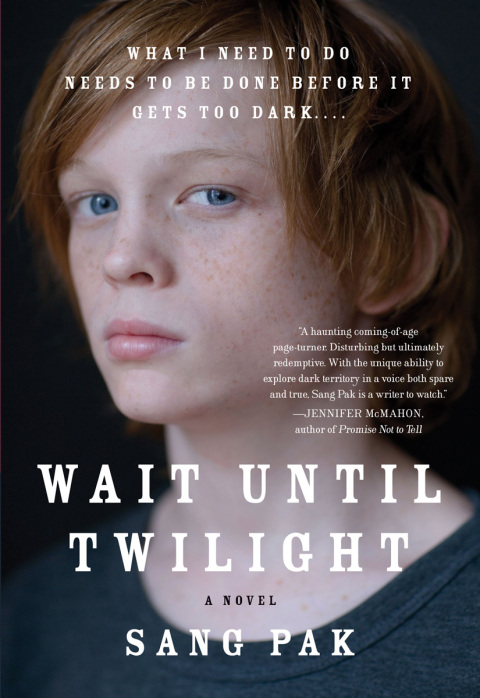Cover image for book Wait Until Twilight