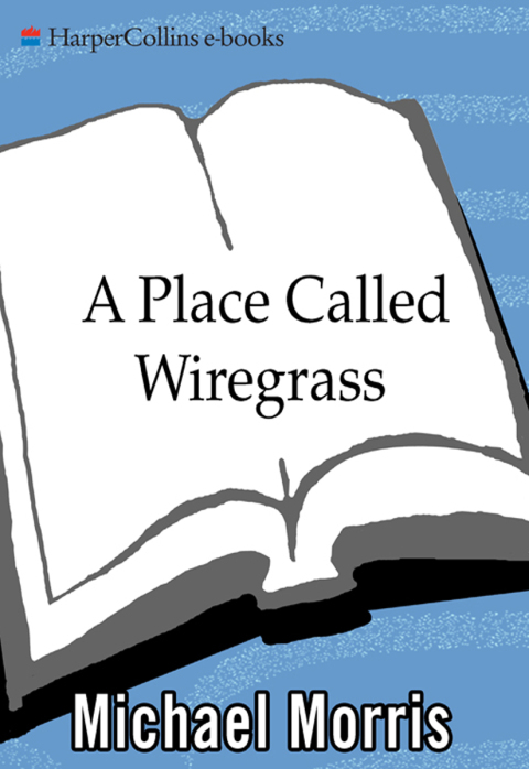 Cover image for book A Place Called Wiregrass