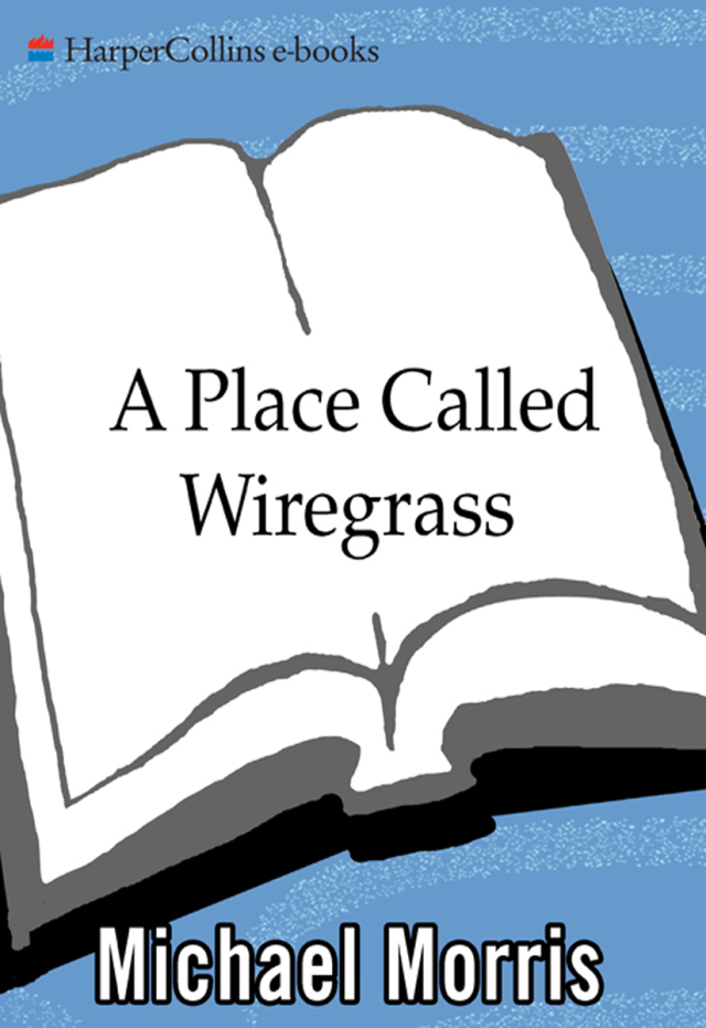 A Place Called Wiregrass