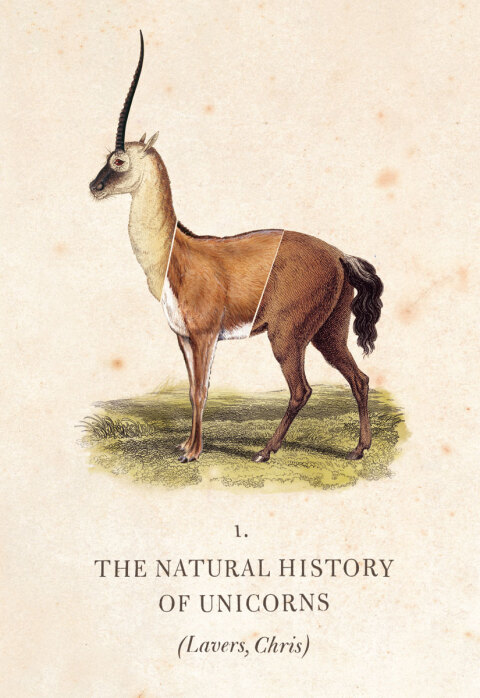 Cover image for book The Natural History of Unicorns