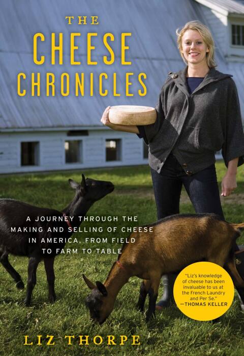 Cover image for book The Cheese Chronicles