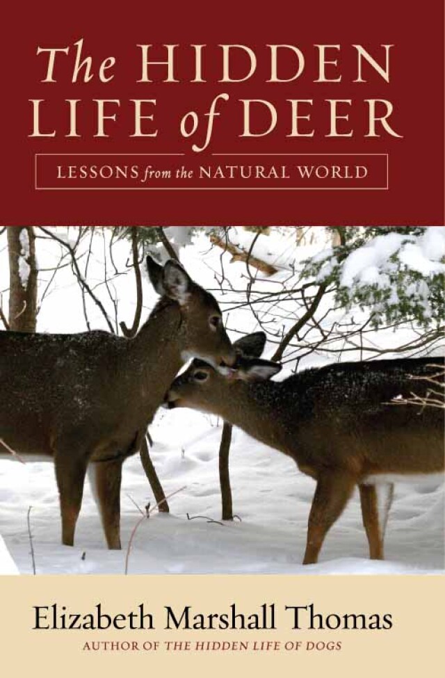 The Hidden Life of Deer