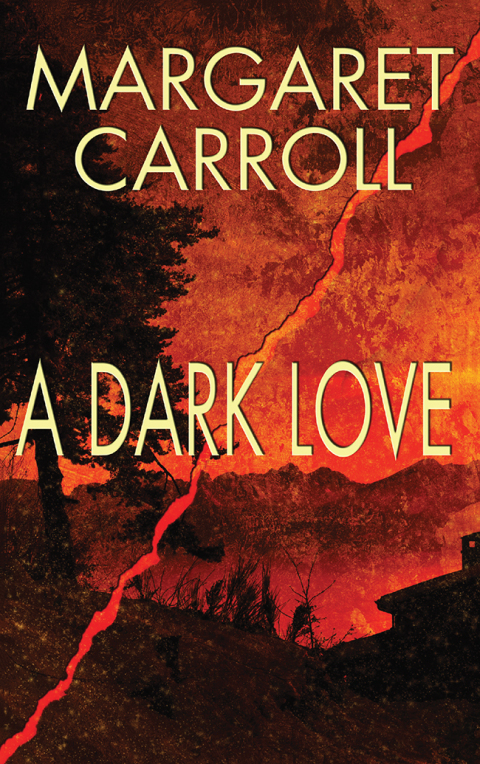 Cover image for book A Dark Love