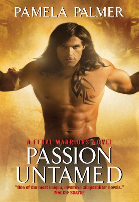 Cover image for book Passion Untamed