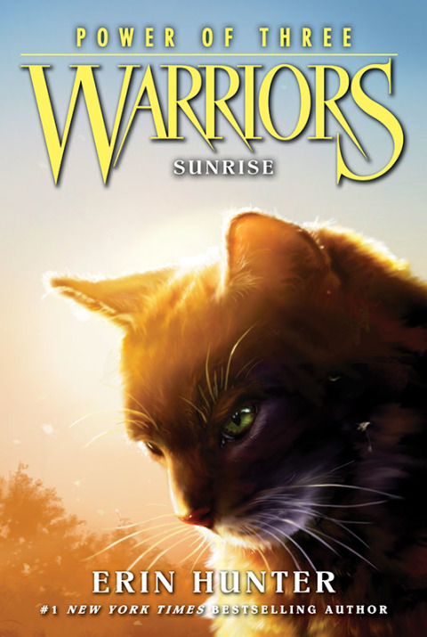 Cover image for book Warriors: Power of Three #6: Sunrise
