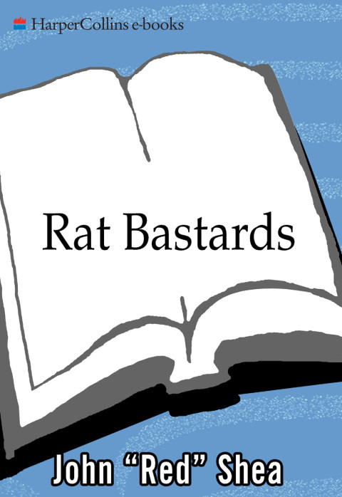 Cover image for book Rat Bastards