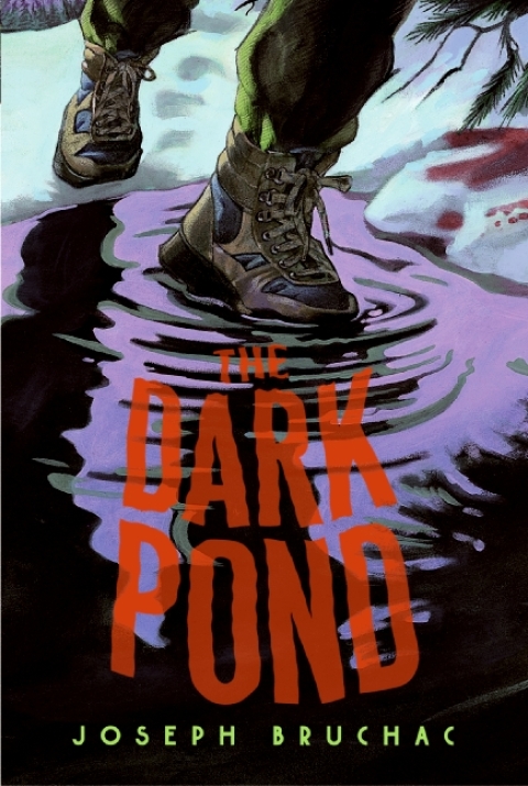 Cover image for book The Dark Pond