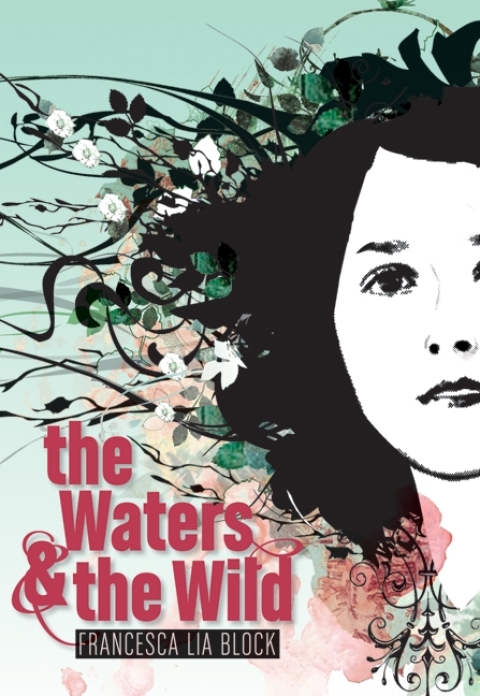 Cover image for book The Waters & the Wild