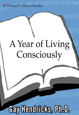 A Year of Living Consciously