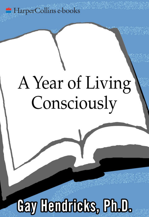 Cover image for book A Year of Living Consciously