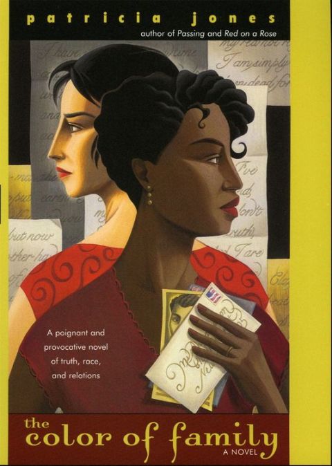 Cover image for book The Color of Family
