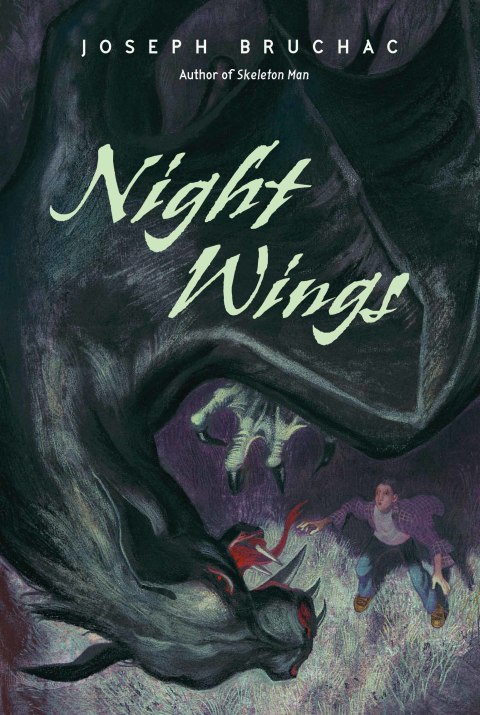Cover image for book Night Wings