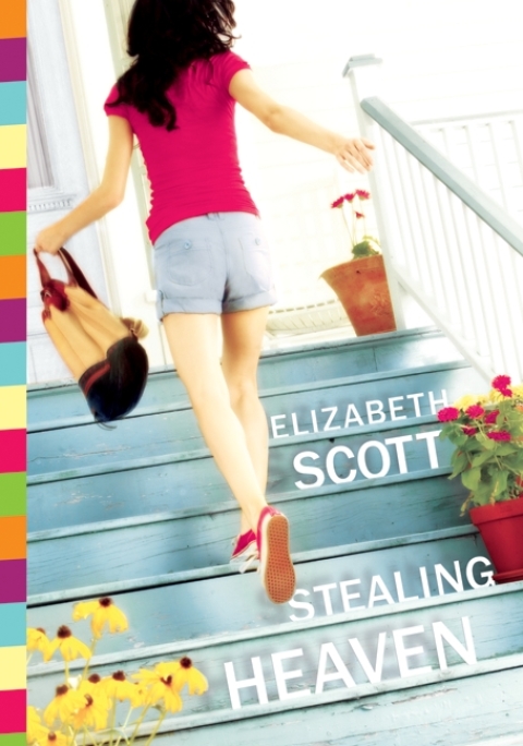 Cover image for book Stealing Heaven