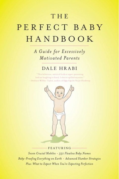 Cover image for book The Perfect Baby Handbook