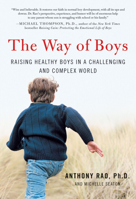 Cover image for book The Way of Boys