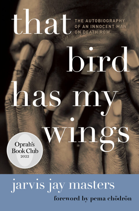 Cover image for book That Bird Has My Wings