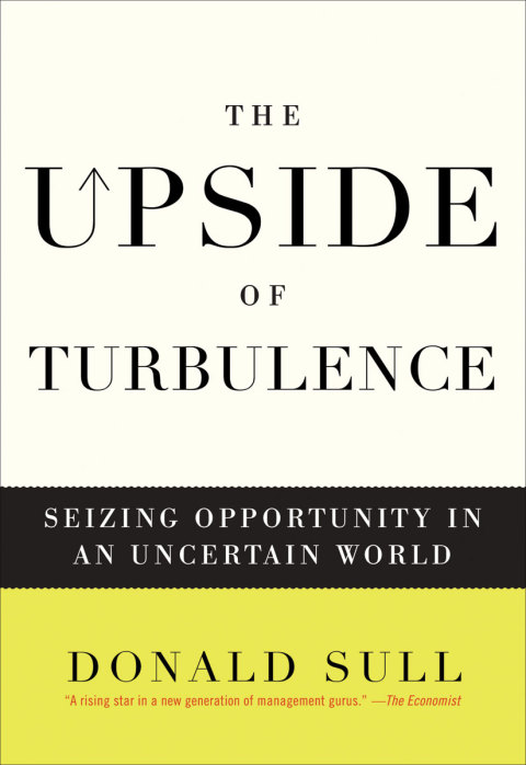 Cover image for book The Upside of Turbulence