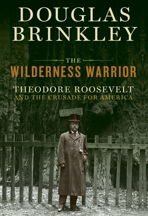 Cover image for book The Wilderness Warrior