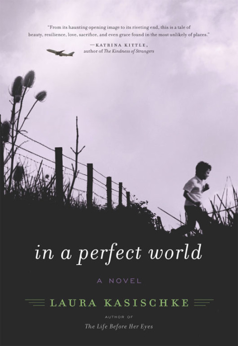 Cover image for book In a Perfect World