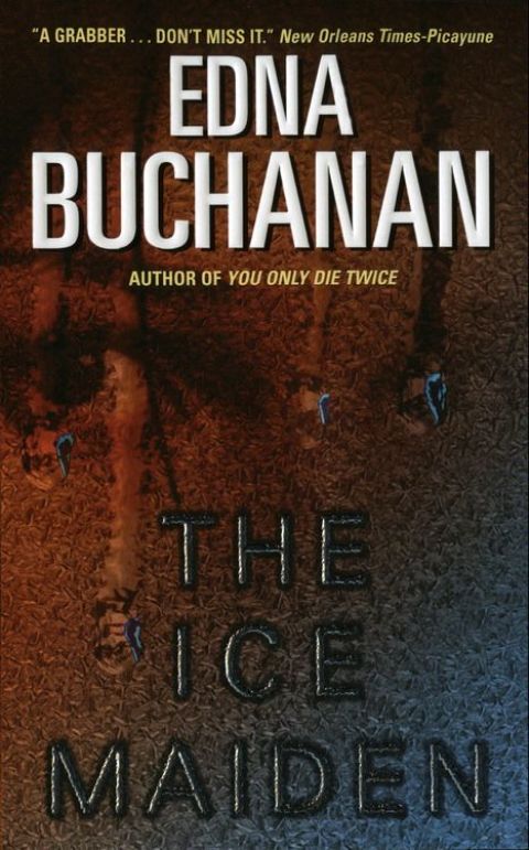 Cover image for book The Ice Maiden