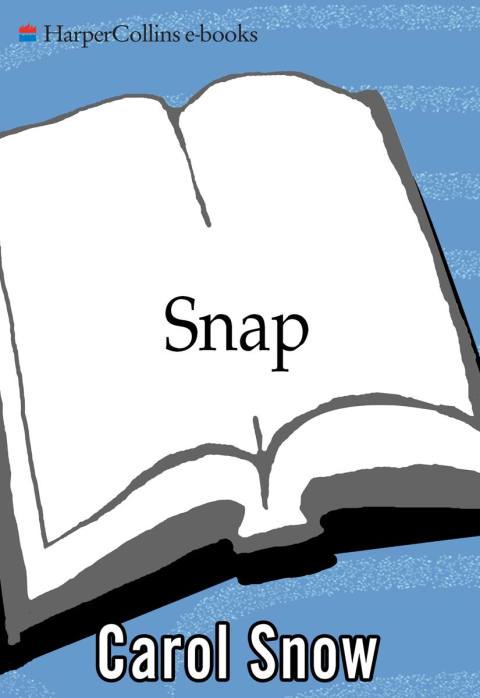 Cover image for book Snap